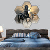 black stallion hexagonal canvas wall art