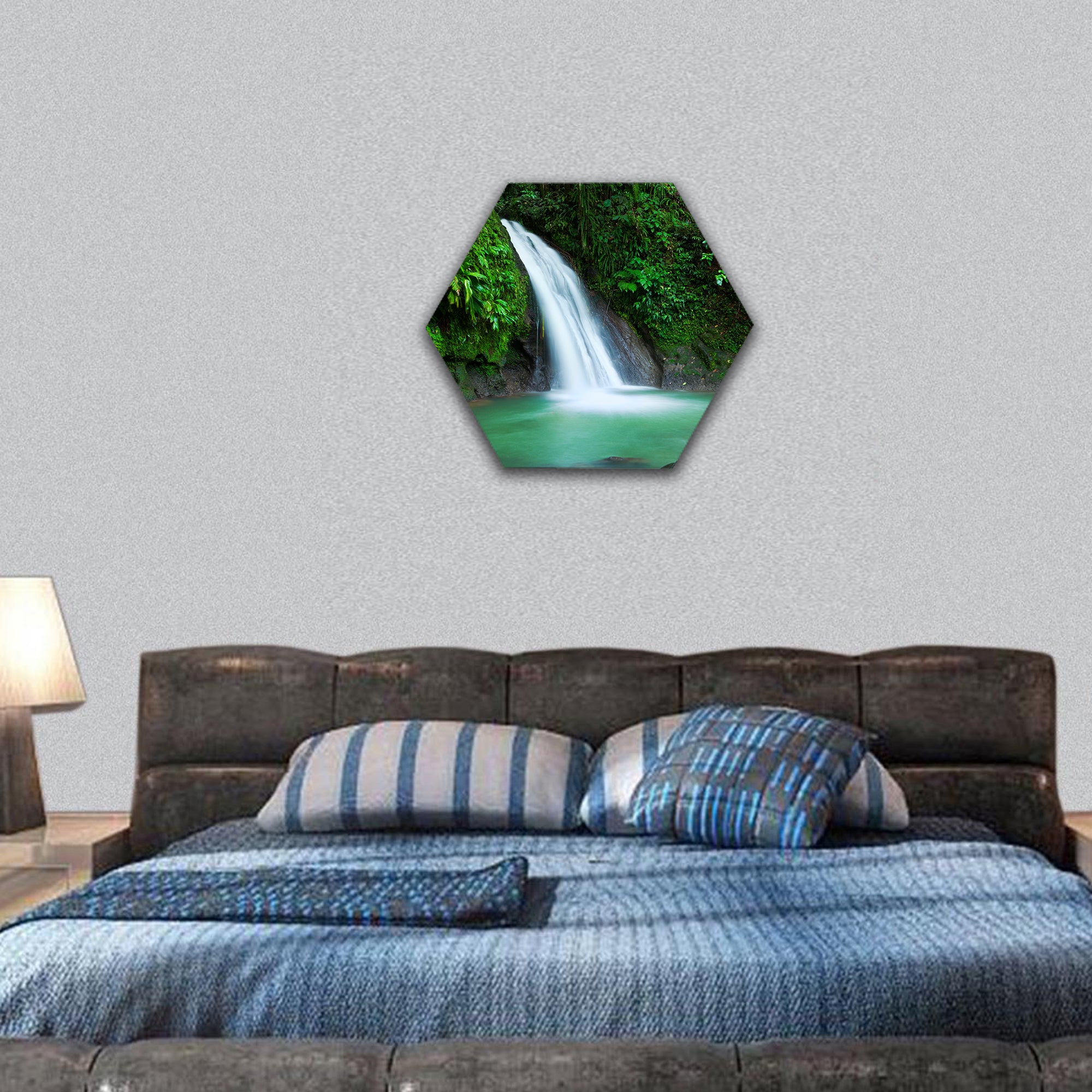 Waterfall in the National Park of Guadeloupe hexagonal canvas wall art