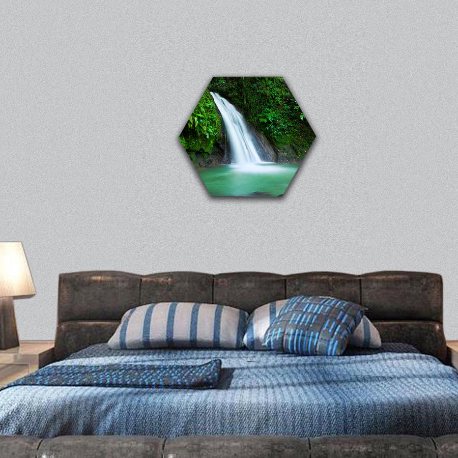 Waterfall in the National Park of Guadeloupe hexagonal canvas wall art