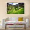 Terrace rice fields in Tegallalang, Ubud on Bali, Indonesia multi panel canvas wall art