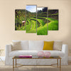 Terrace rice fields in Tegallalang, Ubud on Bali, Indonesia multi panel canvas wall art