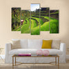 Terrace rice fields in Tegallalang, Ubud on Bali, Indonesia multi panel canvas wall art