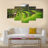 Terrace rice fields in Tegallalang, Ubud on Bali, Indonesia multi panel canvas wall art