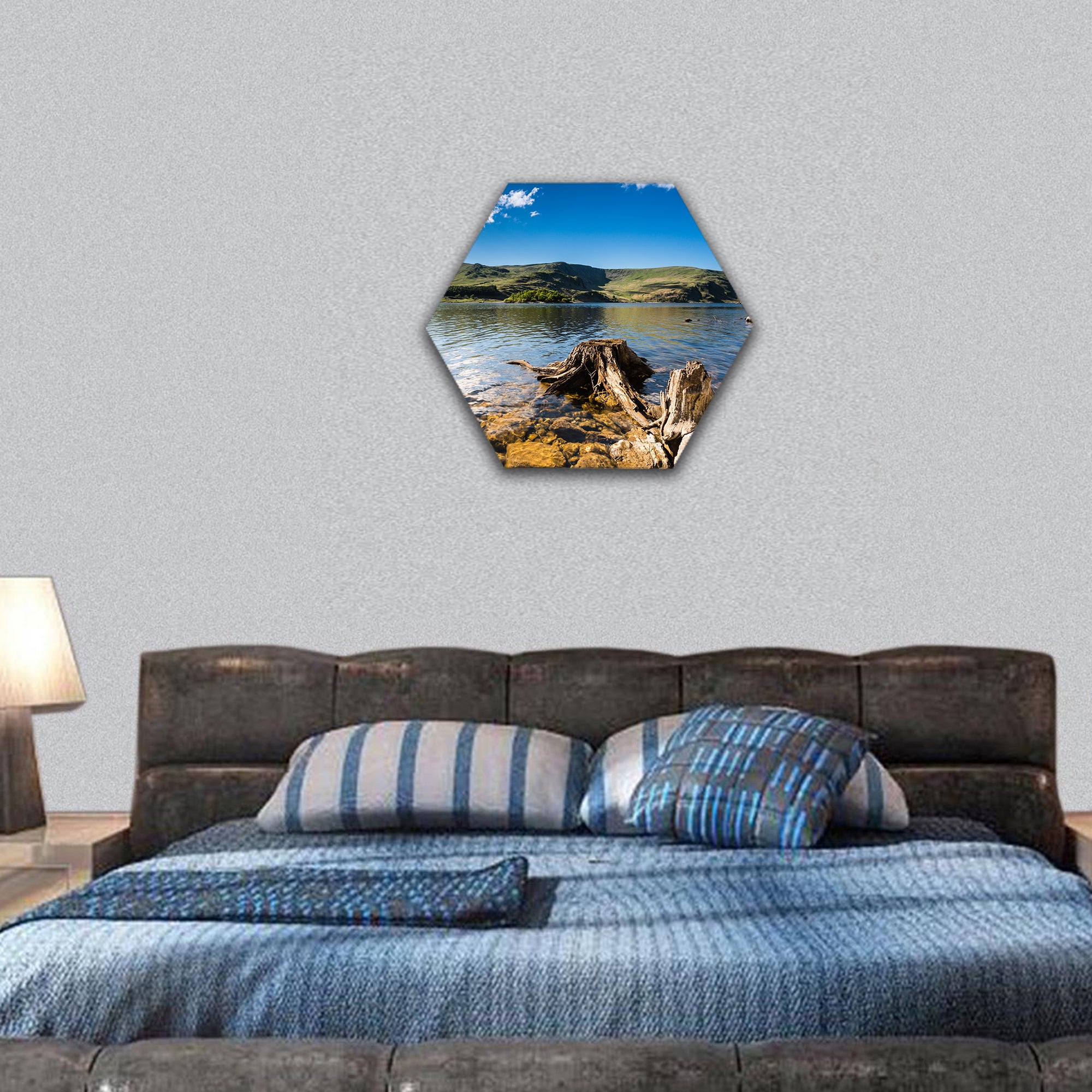 Haweswater Reservoir with old tree in Valley hexagonal canvas wall art