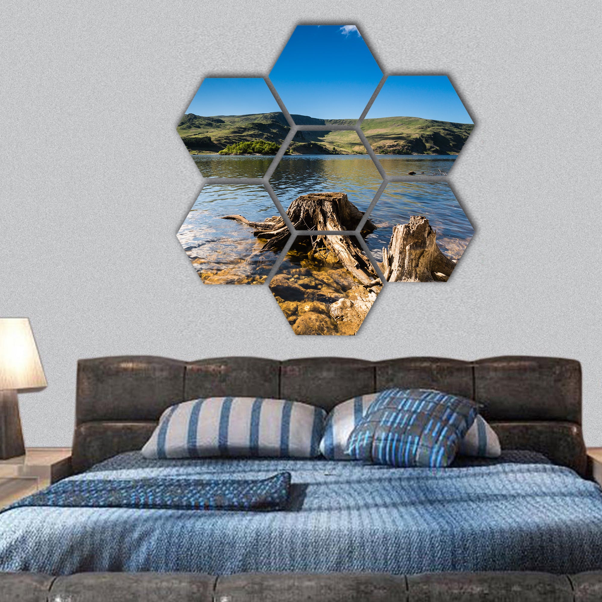 Haweswater Reservoir with old tree in Valley hexagonal canvas wall art