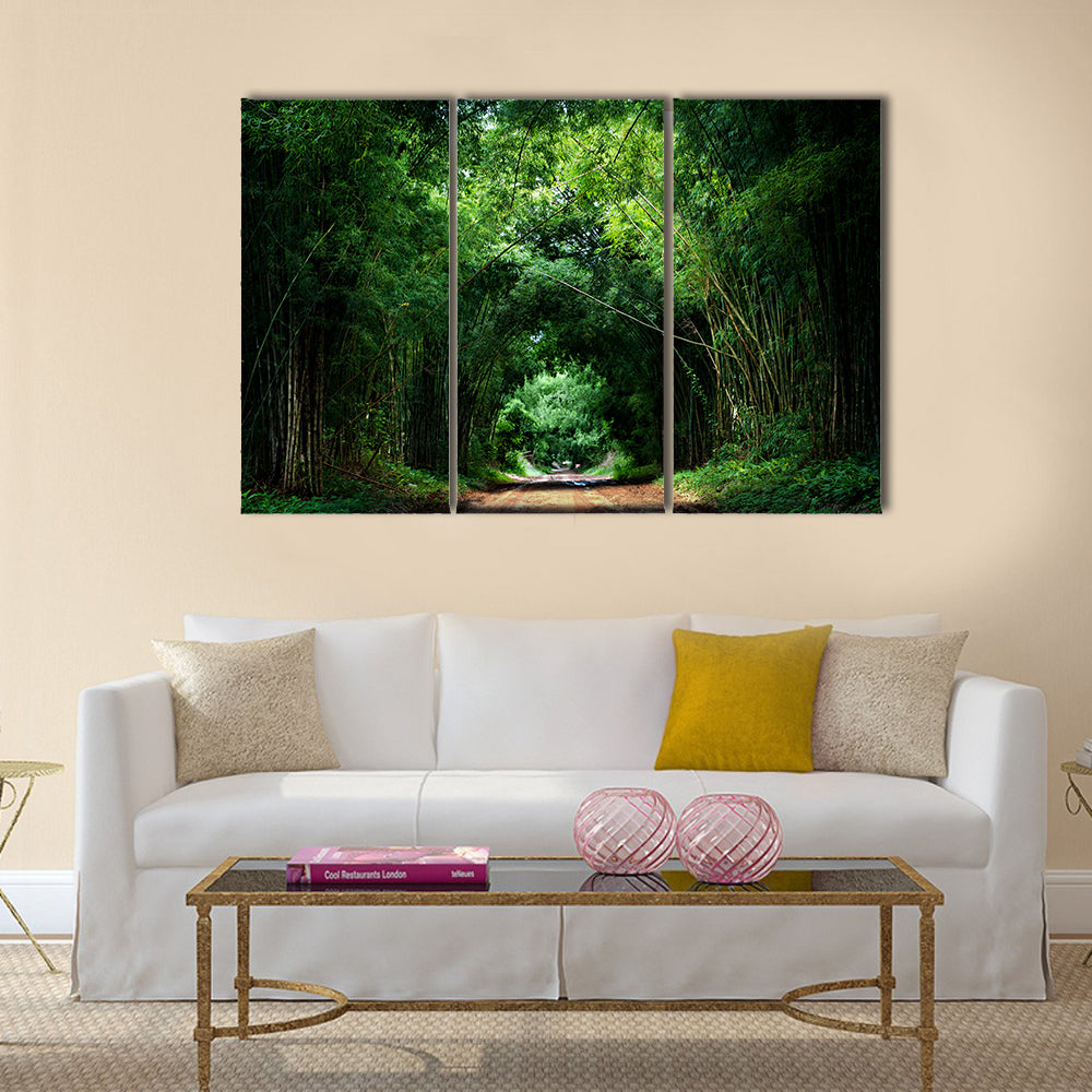 Beautiful road with bamboo, Japan, Wall Art
