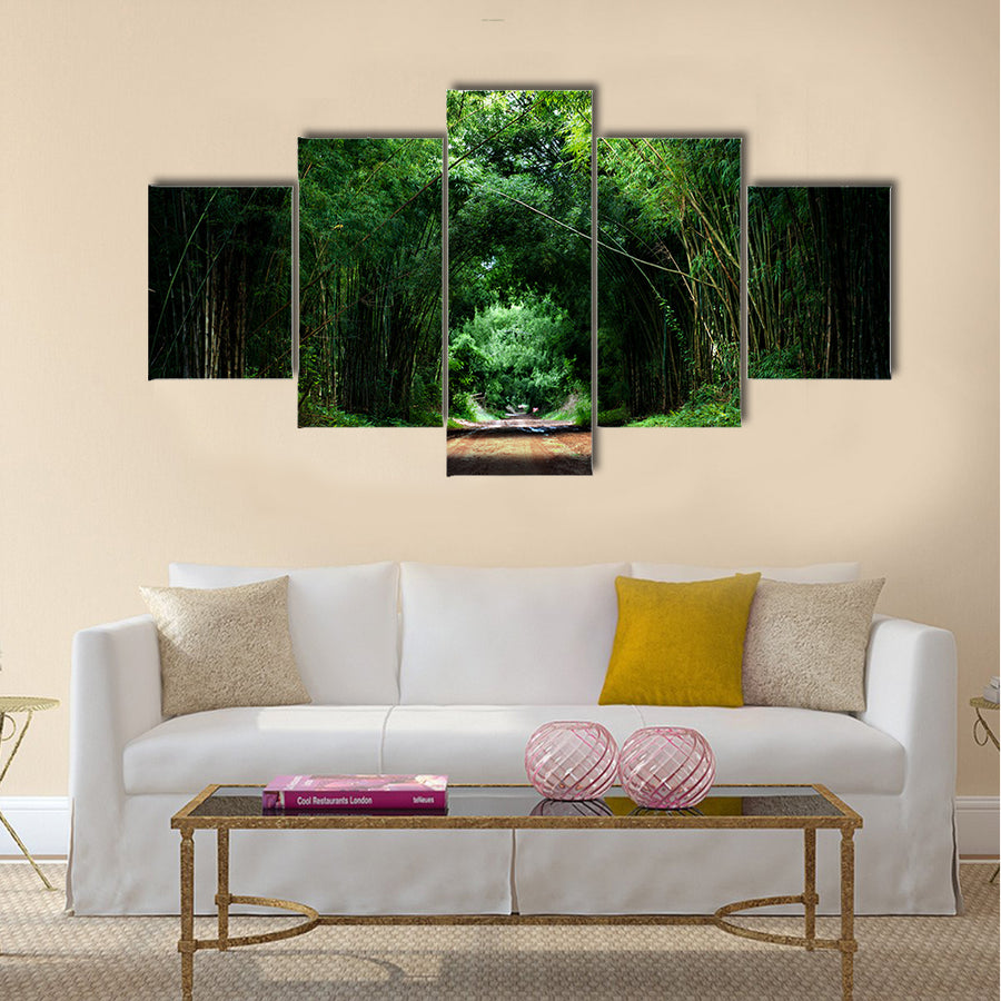 Beautiful road with bamboo, Japan, Wall Art