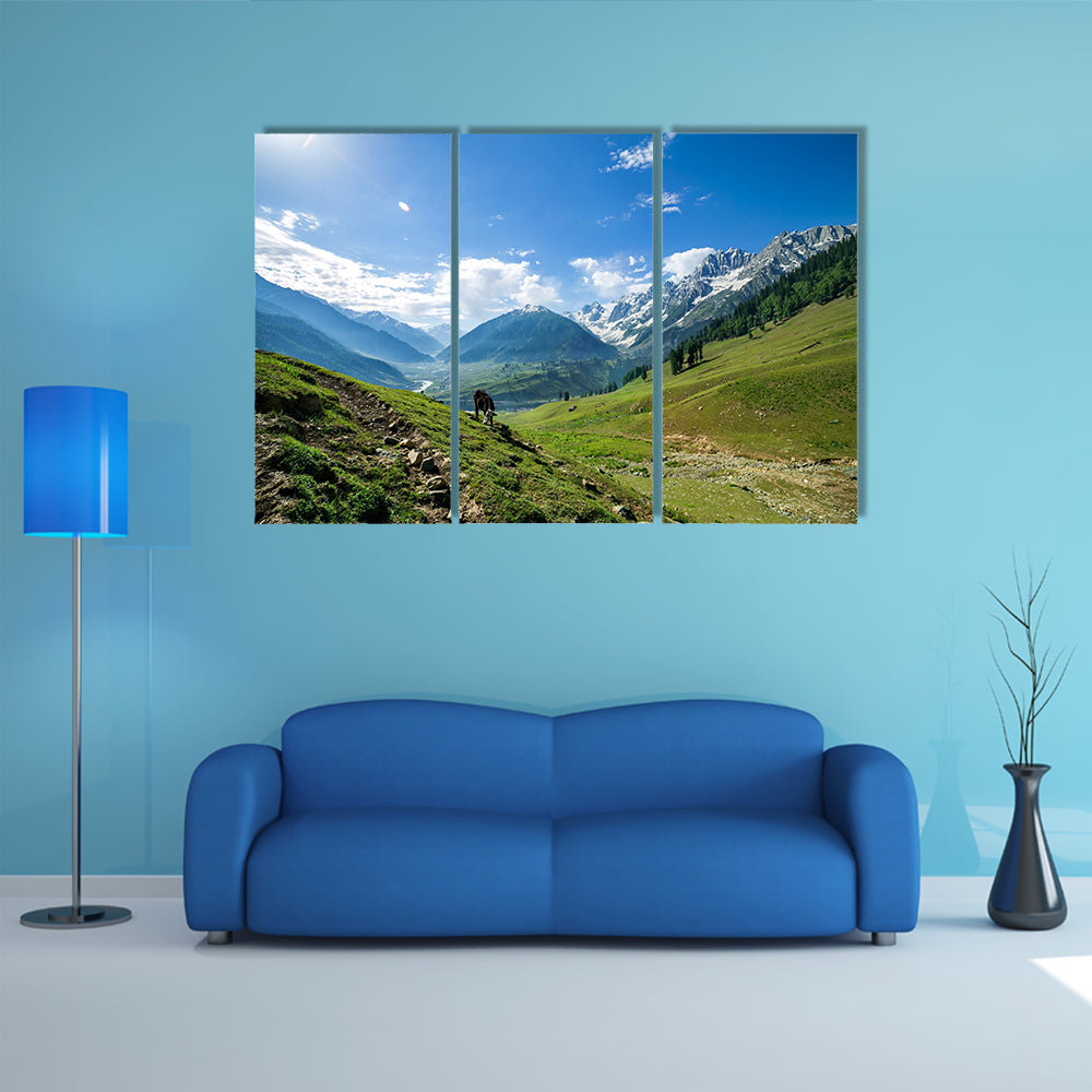 Rocky Mountains and green Field in Jammu and Kashmir Multi Panel Canvas Wall Art