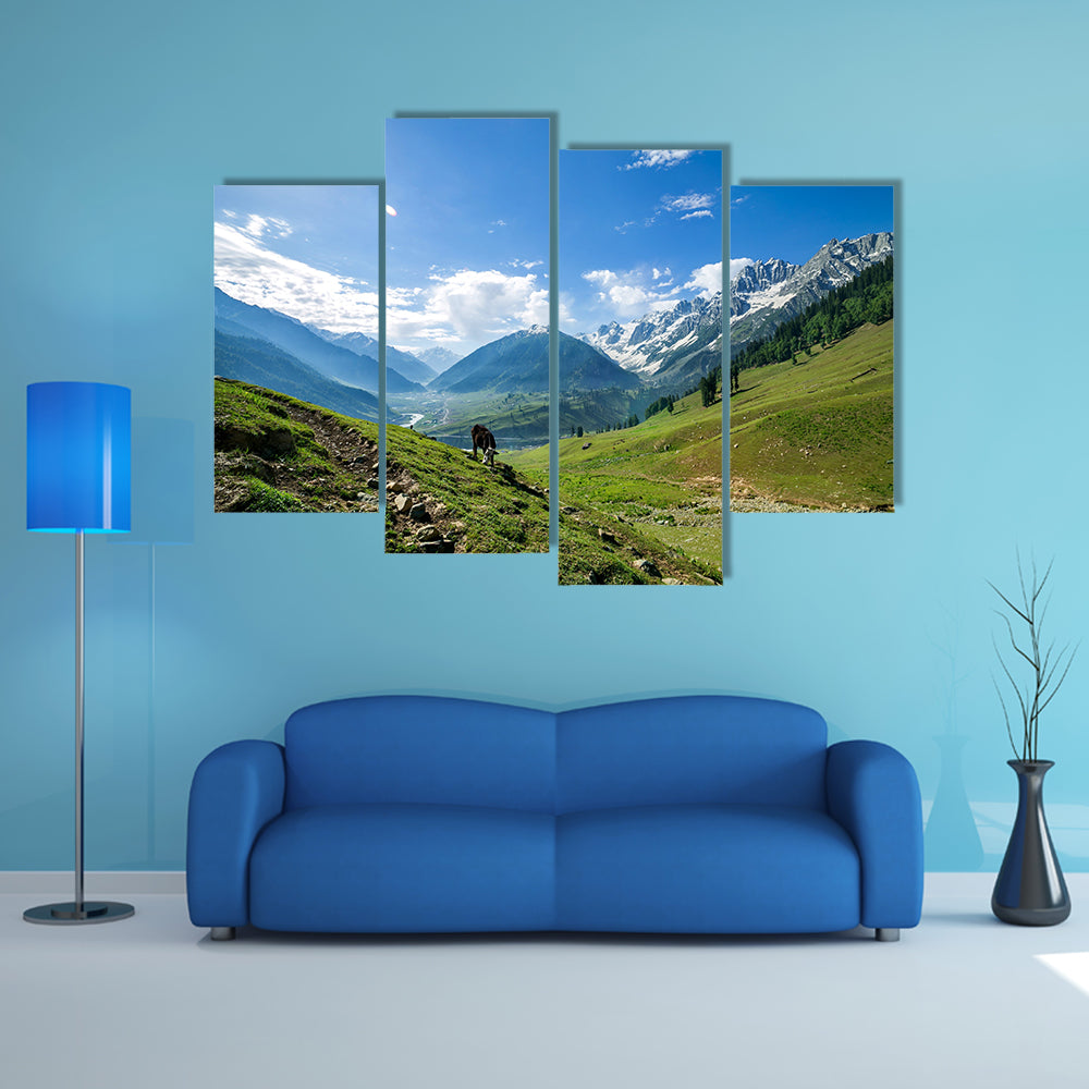 Rocky Mountains and green Field in Jammu and Kashmir Multi Panel Canvas Wall Art