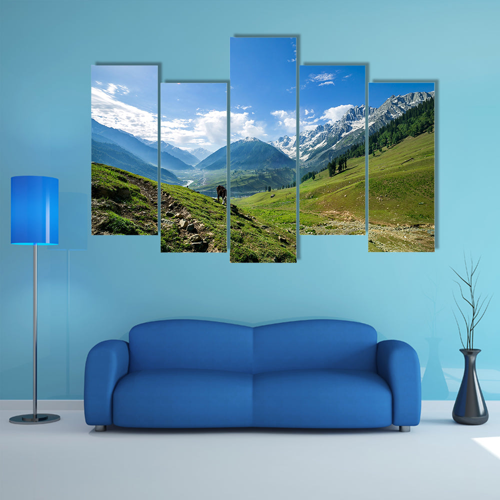 Rocky Mountains and green Field in Jammu and Kashmir Multi Panel Canvas Wall Art