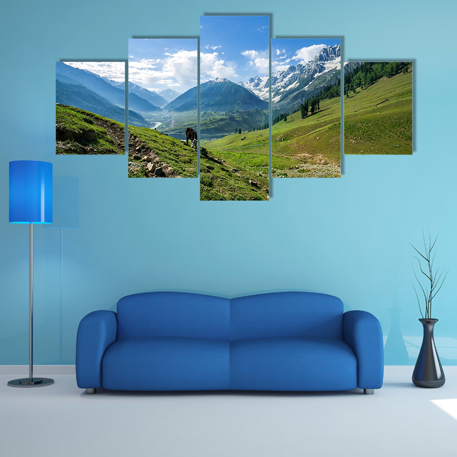 Rocky Mountains and green Field in Jammu and Kashmir Multi Panel Canvas Wall Art