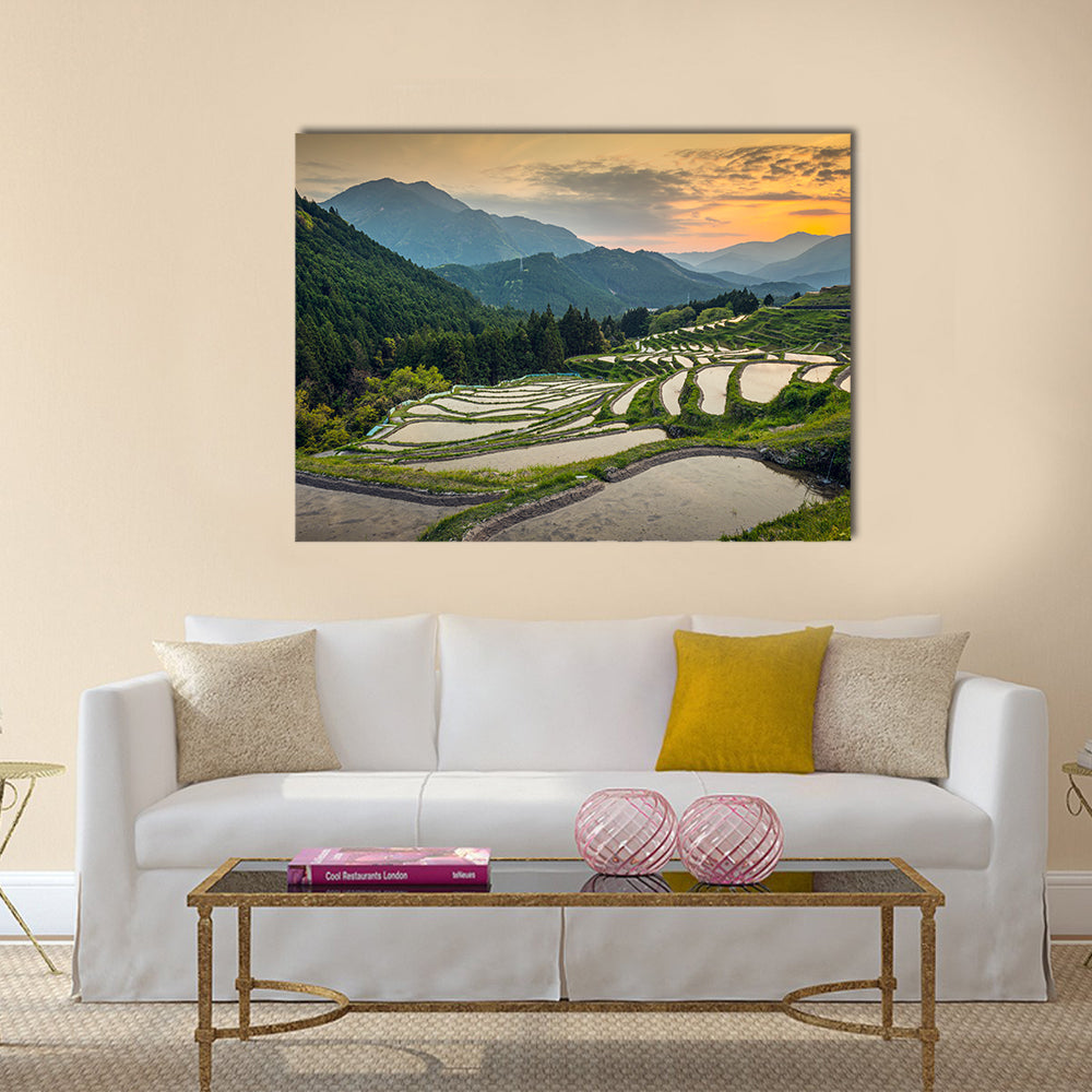 Japanese rice terraces at sunset. Maruyama-senmaida, Kumano, Japan, Wall Art