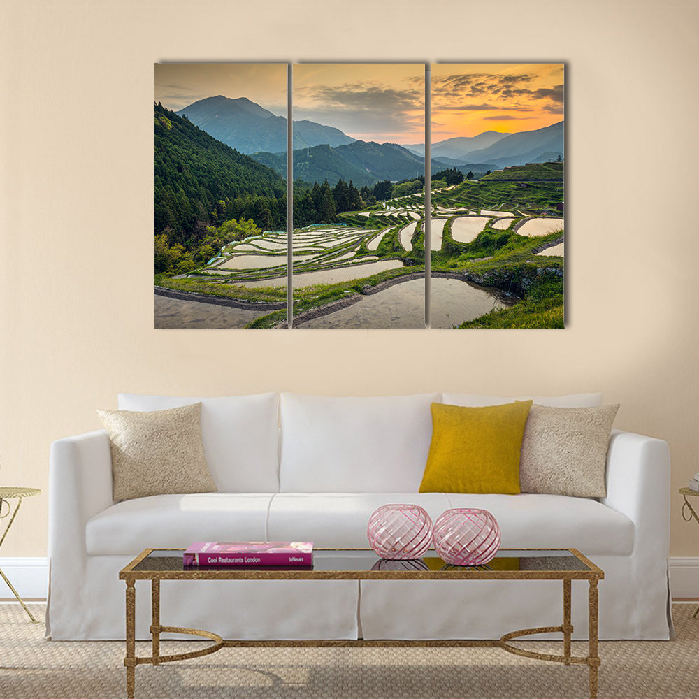 Japanese rice terraces at sunset. Maruyama-senmaida, Kumano, Japan, Wall Art