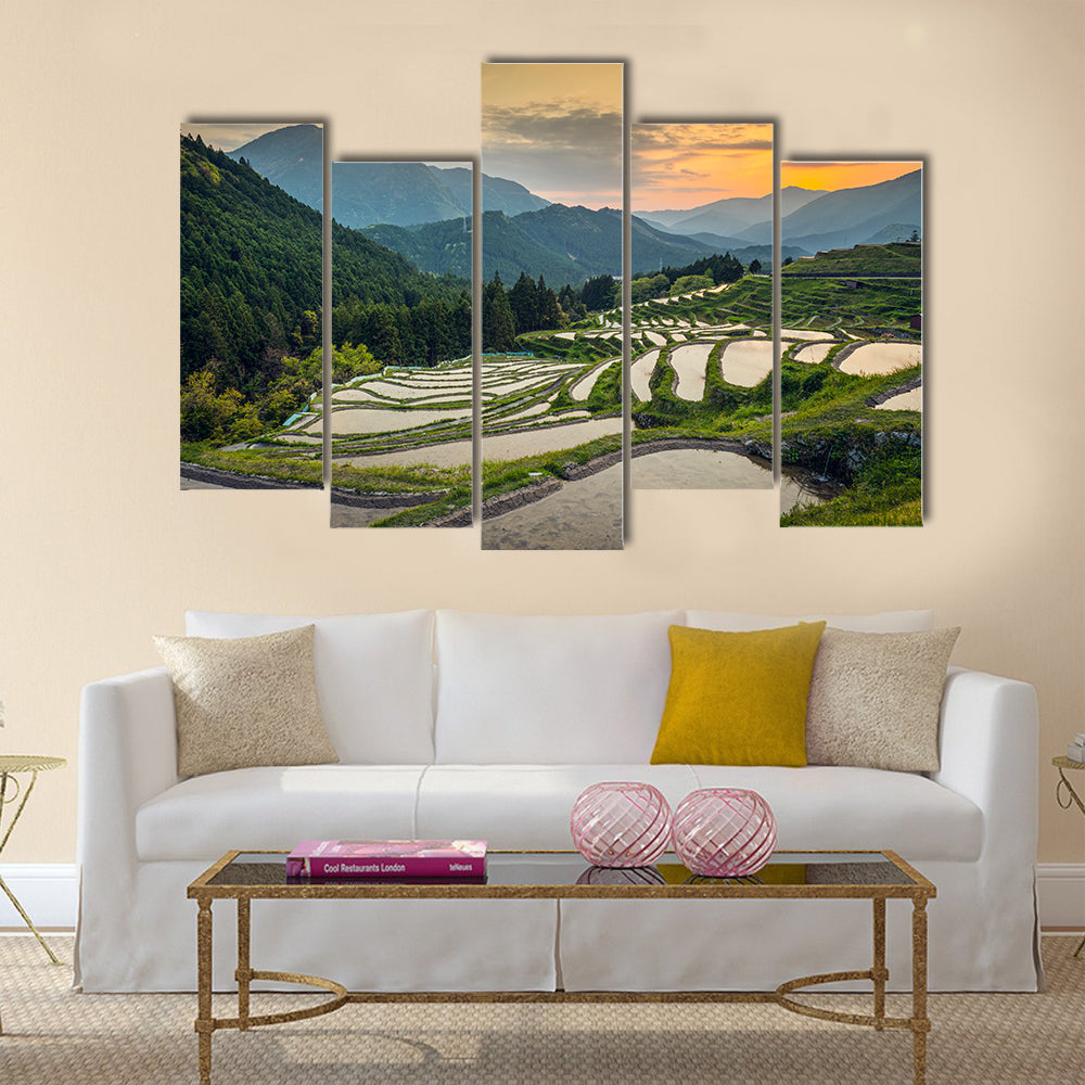 Japanese rice terraces at sunset. Maruyama-senmaida, Kumano, Japan, Wall Art