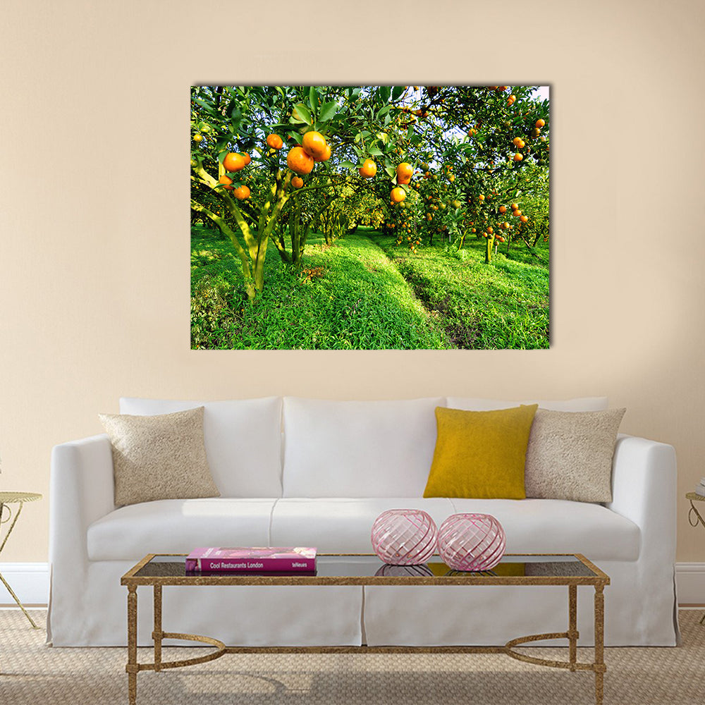 Orange tree Multi Panel Canvas Wall Art
