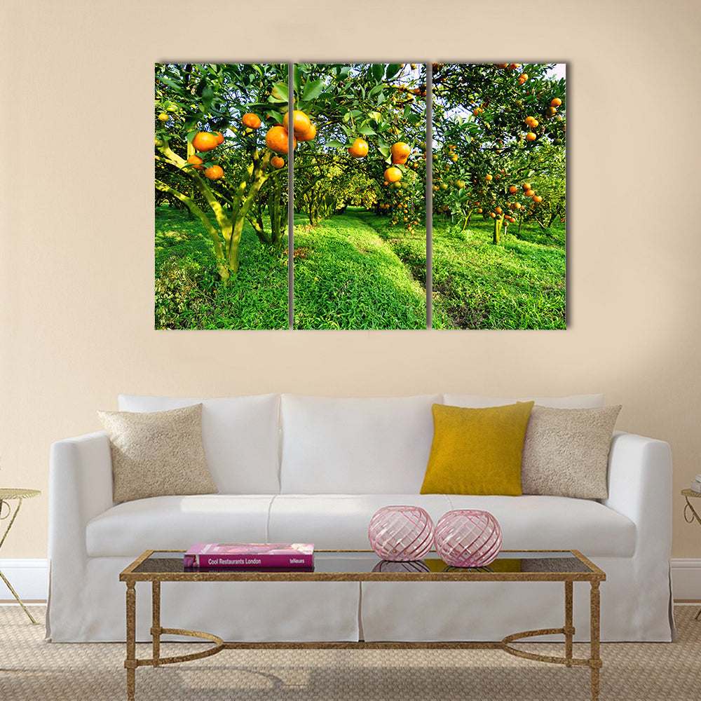 Orange tree Multi Panel Canvas Wall Art
