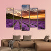 Stunning landscape with lavender field at sunrise multi panel canvas wall art