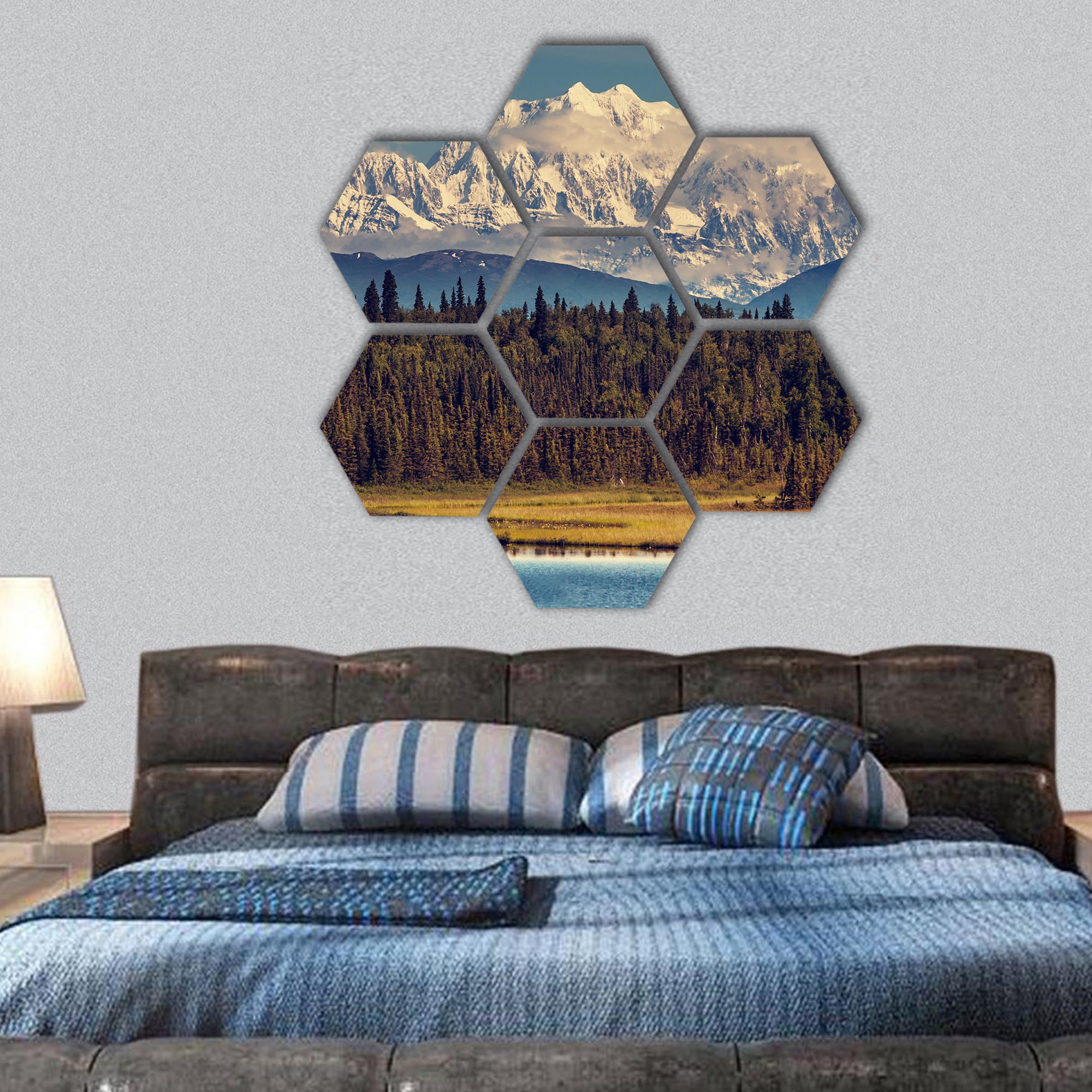McKinley peak hexagonal canvas wall art