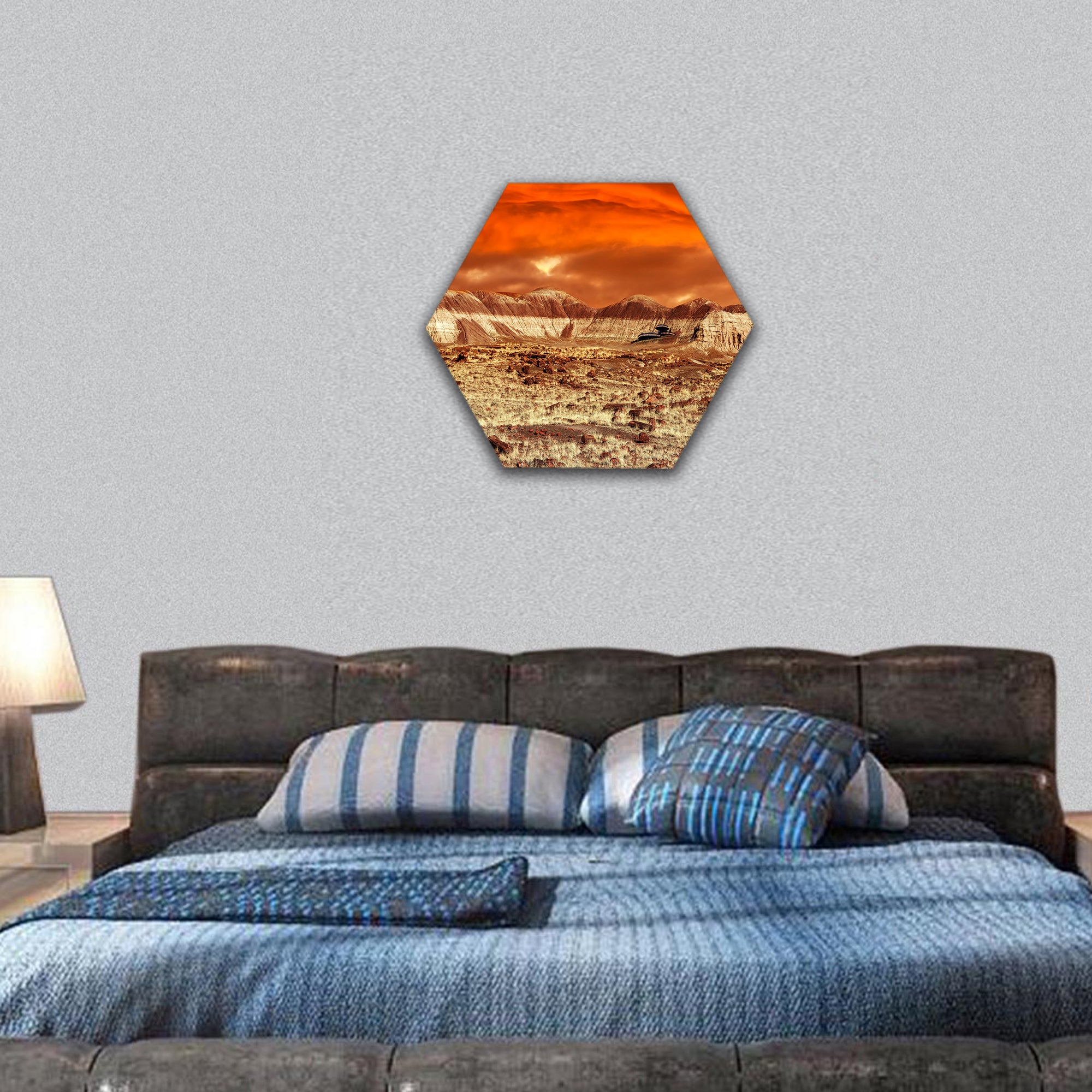 Base on Mars Abstract natural design hexagonal canvas wall art
