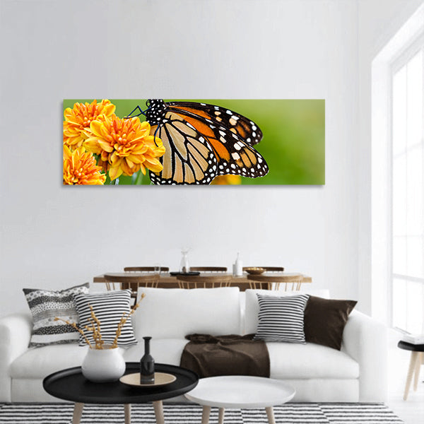 Monarch butterfly panoramic canvas wall art