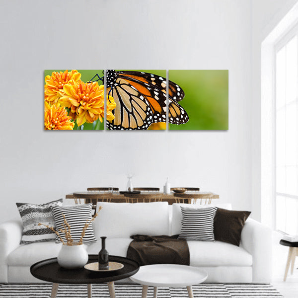 Monarch butterfly panoramic canvas wall art
