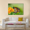 Monarch butterfly (Danaus plexippus) on orange garden flowers Multi Panel Canvas Wall Art