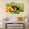 Monarch butterfly (Danaus plexippus) on orange garden flowers Multi Panel Canvas Wall Art