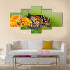 Monarch butterfly (Danaus plexippus) on orange garden flowers Multi Panel Canvas Wall Art