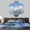 The penguin hexagonal canvas wall art