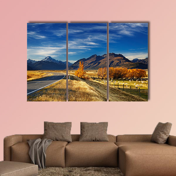 Farmland with grazing sheep and Mount Cook on background, Canterbury wall art