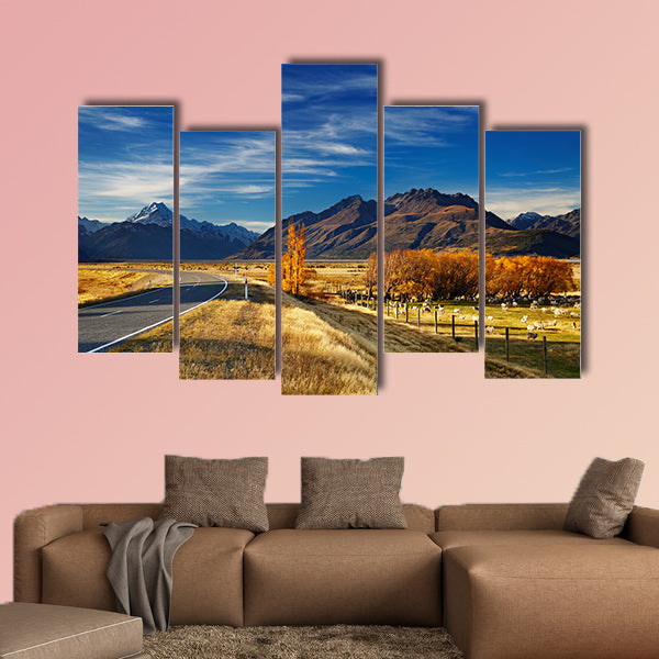 Farmland with grazing sheep and Mount Cook on background, Canterbury wall art
