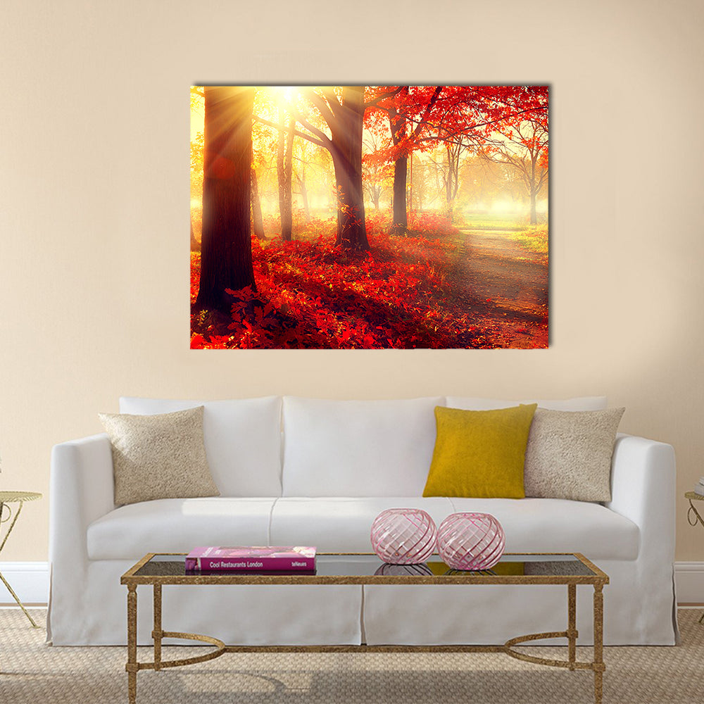 Beautiful scene misty old autumn forest Multi panel canvas wall art