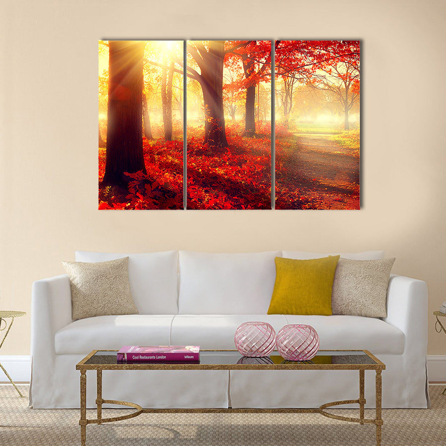 Beautiful scene misty old autumn forest Multi panel canvas wall art