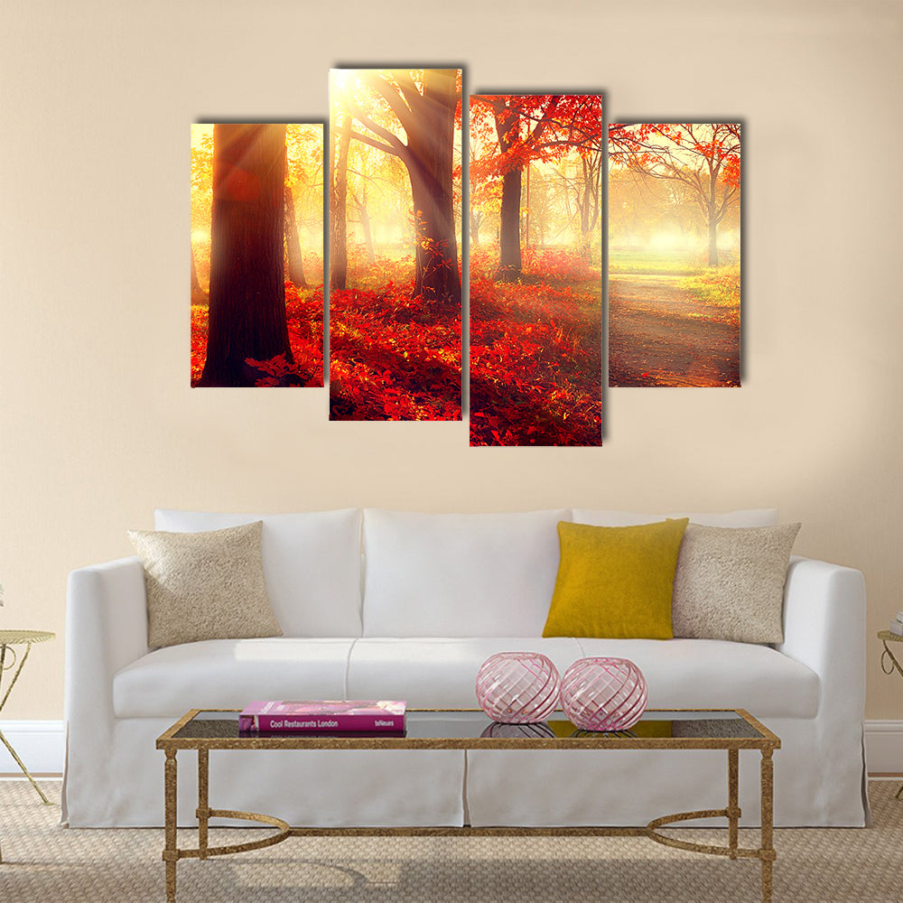 Beautiful scene misty old autumn forest Multi panel canvas wall art