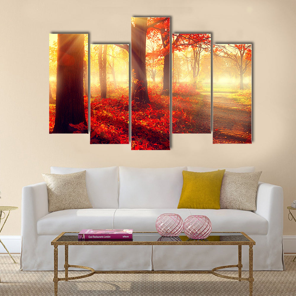 Beautiful scene misty old autumn forest Multi panel canvas wall art