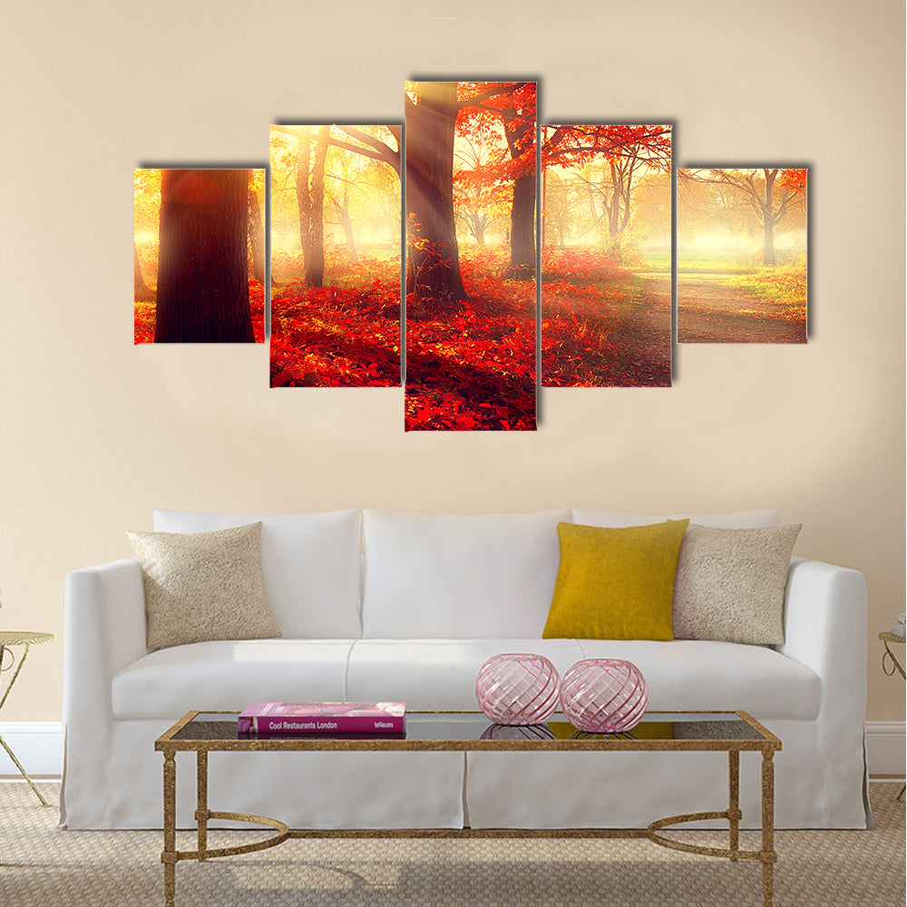 Beautiful scene misty old autumn forest Multi panel canvas wall art