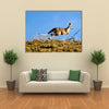 Kangaroo jumping over horizon Multi Panel Canvas Wall Art