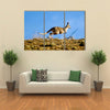 Kangaroo jumping over horizon Multi Panel Canvas Wall Art