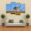 Kangaroo jumping over horizon Multi Panel Canvas Wall Art