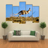 Kangaroo jumping over horizon Multi Panel Canvas Wall Art