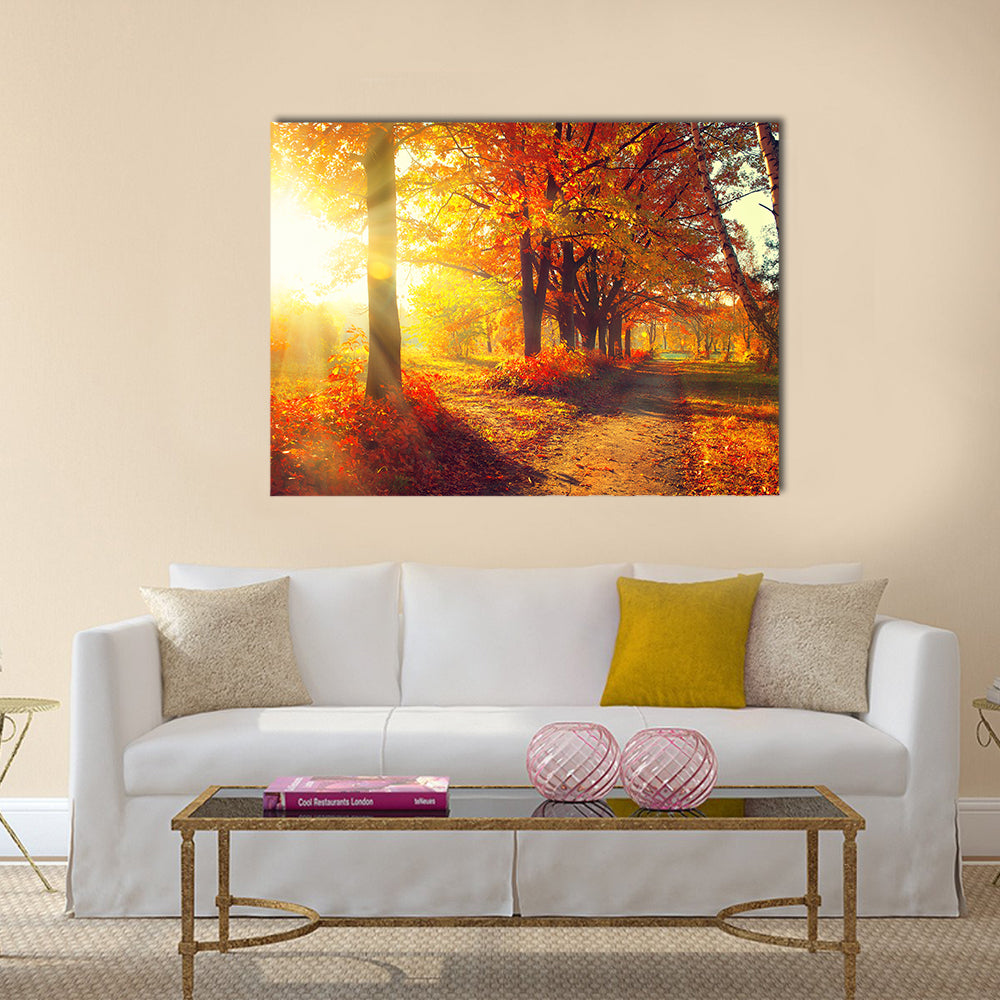 Fall. Autumn Park. Autumnal Trees and Leaves in sun rays Multi panel canvas wall art