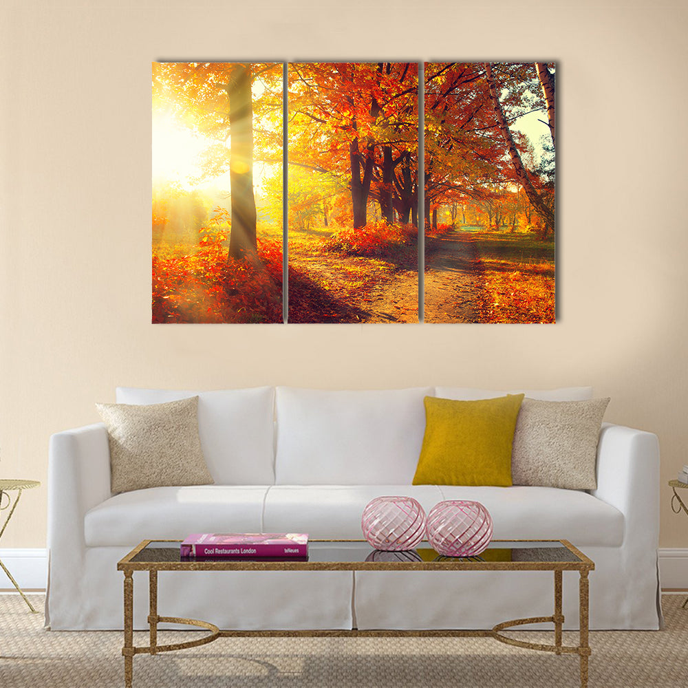 Fall. Autumn Park. Autumnal Trees and Leaves in sun rays Multi panel canvas wall art