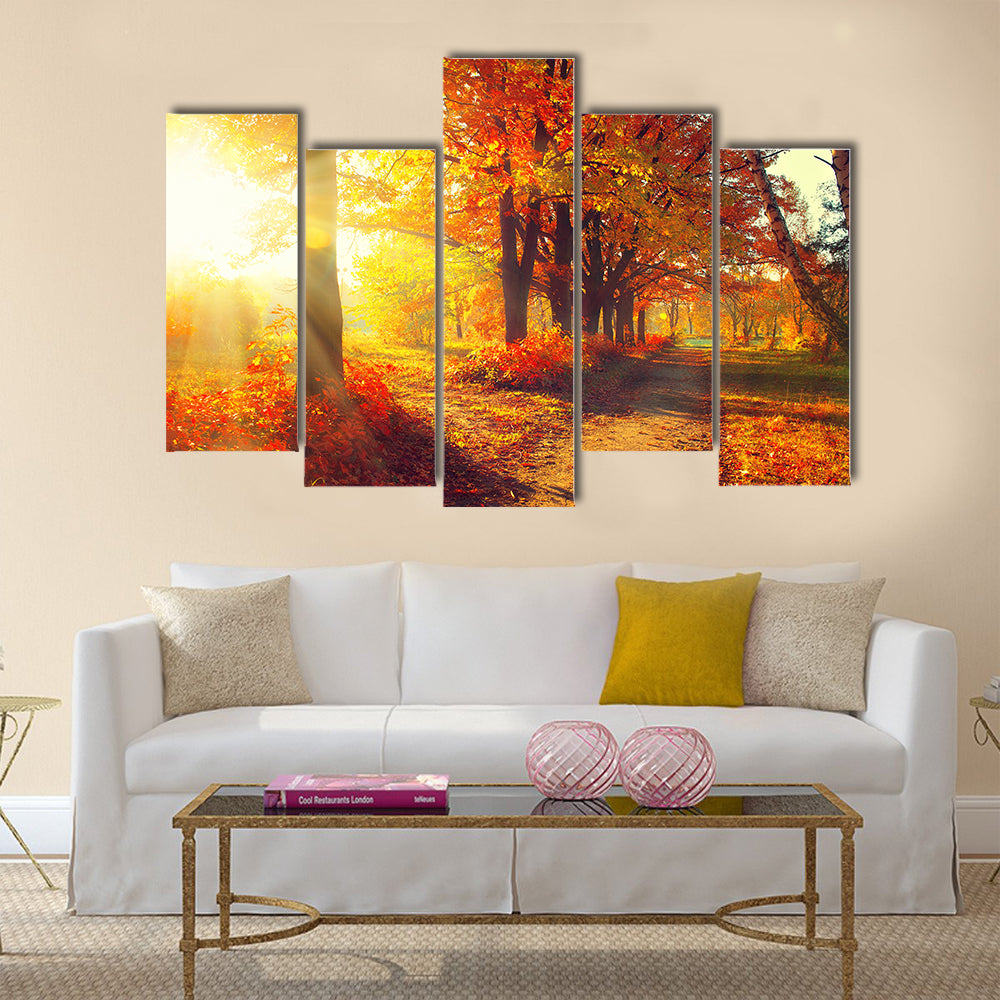 Fall. Autumn Park. Autumnal Trees and Leaves in sun rays Multi panel canvas wall art