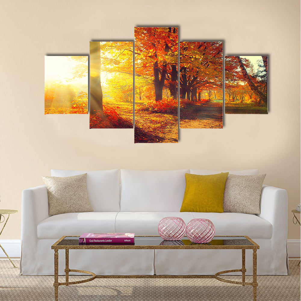 Fall. Autumn Park. Autumnal Trees and Leaves in sun rays Multi panel canvas wall art