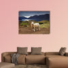 Lake Wanaka, view from mount Roys, New Zealand multi panel canvas wall art