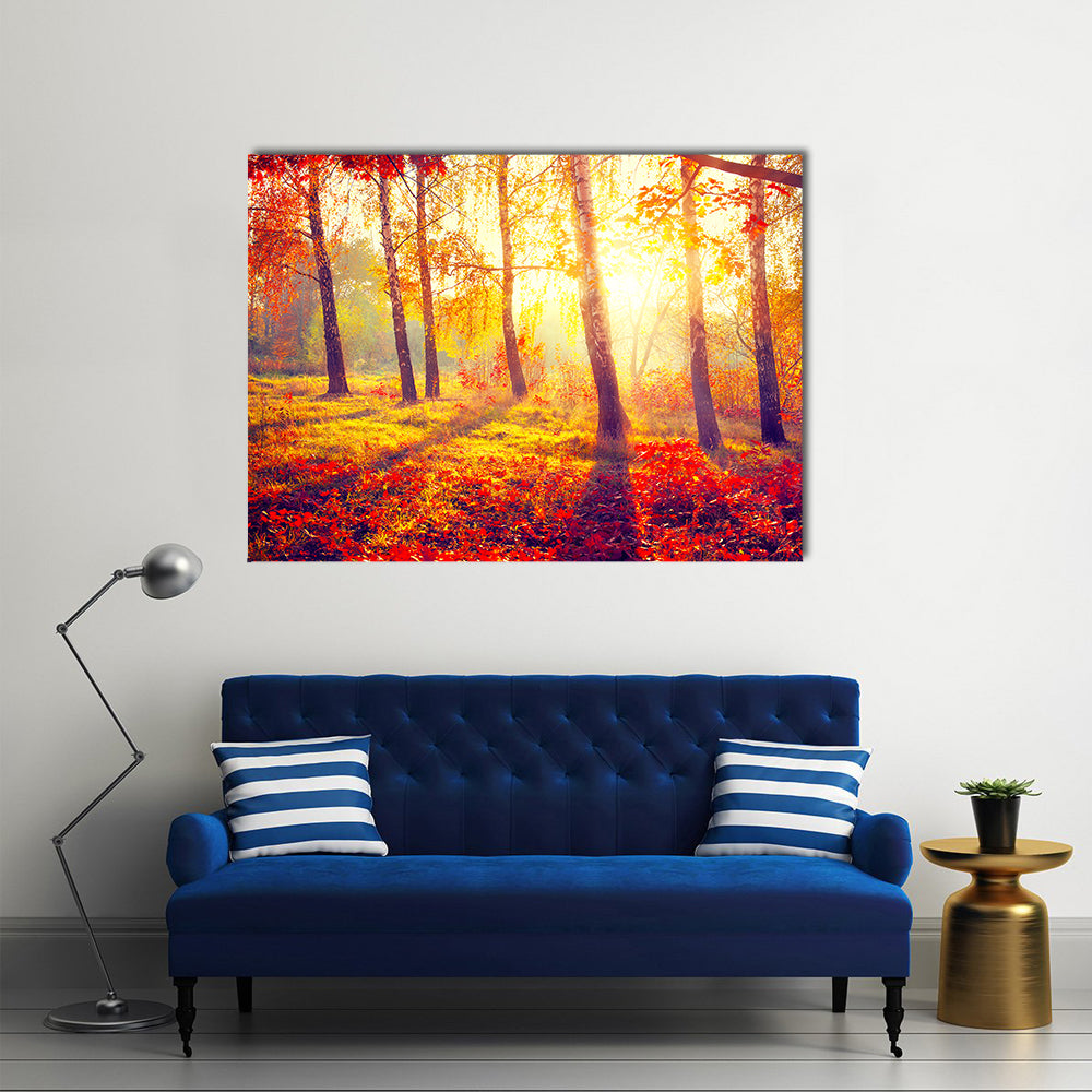 Autumnal Park Autumn Trees and Leaves in Sun Rays Multi Panel Canvas Wall Art