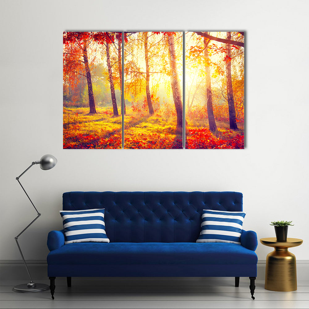 Autumnal Park Autumn Trees and Leaves in Sun Rays Multi Panel Canvas Wall Art