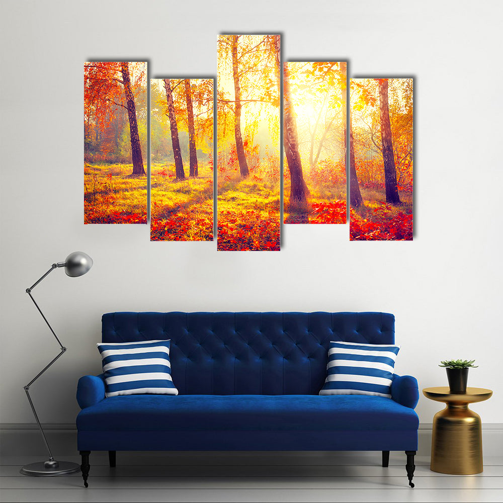 Autumnal Park Autumn Trees and Leaves in Sun Rays Multi Panel Canvas Wall Art