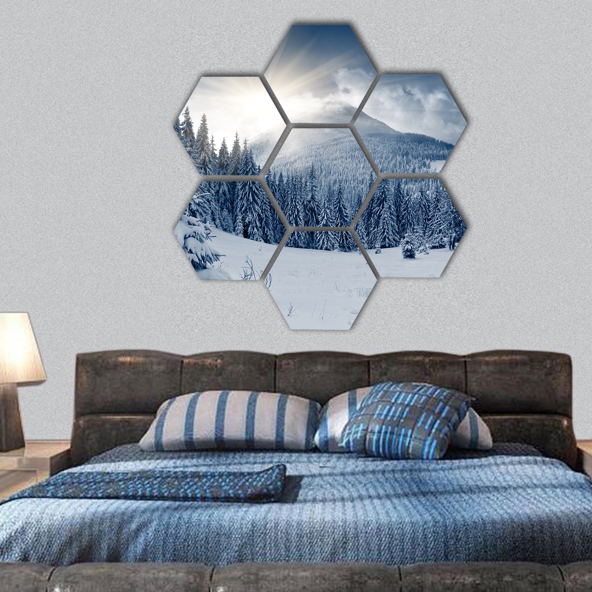 Beautiful winter landscape with snow covered trees hexagonal canvas wall art