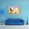 A small young light tan, fawn, beige, gray and white Lhasa Apso dog Multi Panel Canvas Wall Art